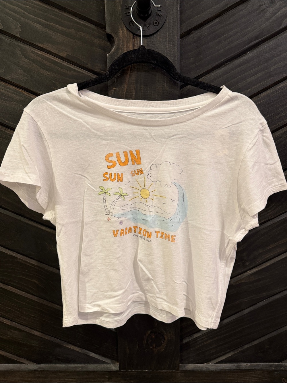 aerie White Graphic Crop Tee with Orange & Blue Beach Print